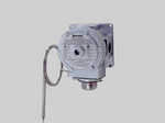 Thermostats & Switches